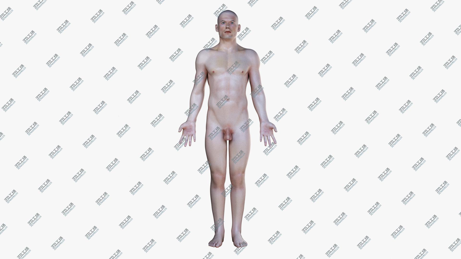 images/goods_img/2021040161/3D Full Male Anatomy Simplified/2.jpg
